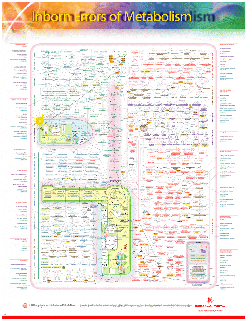 Dette er et oversiktsbilde over metabolismen, og beskriver hvor mange stedet ting potensielt kan gå galt. Bildet er bare ment som en illustrasjon for hvor komplekst dette er. Trykk på bildet for større versjon. 