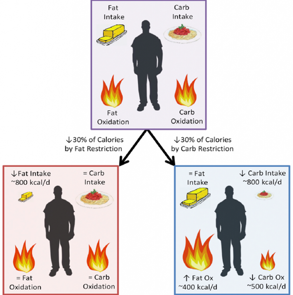 Hall Kevin D, Bemis T, Brychta R, Chen Kong Y, Courville A, et al. (2015) Calorie for Calorie, Dietary Fat Restriction Results in More Body Fat Loss than Carbohydrate Restriction in People with Obesity. Cell Metabolism. 